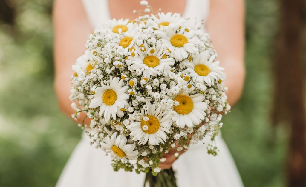 fiori-matrimonio-margherite